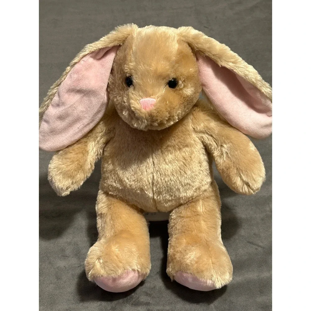 Build-A-Bear Workshop Pawlette Bunny Plush Pink Floppy Ear Rabbit Stuffed Toy
